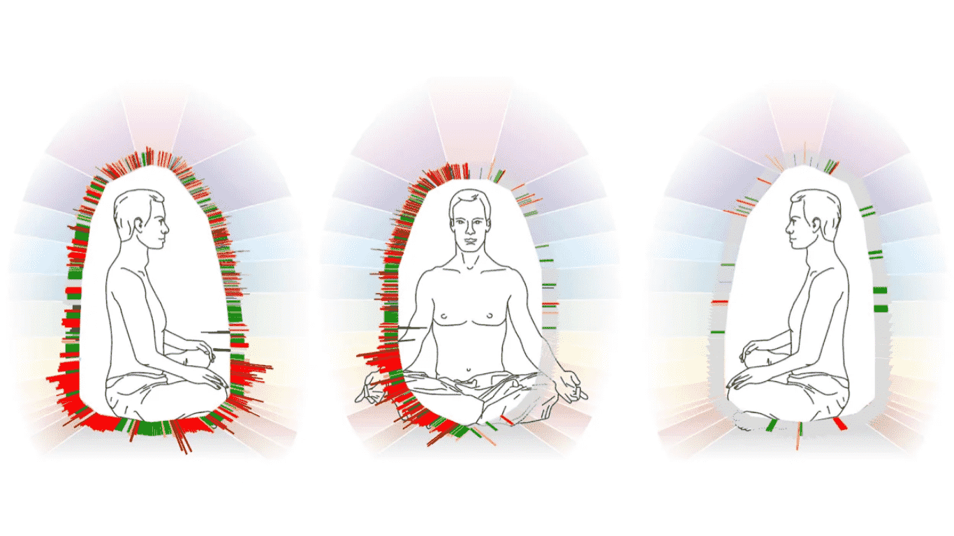 renacercr369 CLÍNICA DE BIENESTAR Y BIORRESONANCIA CUÁNTICA COSTA RICA4