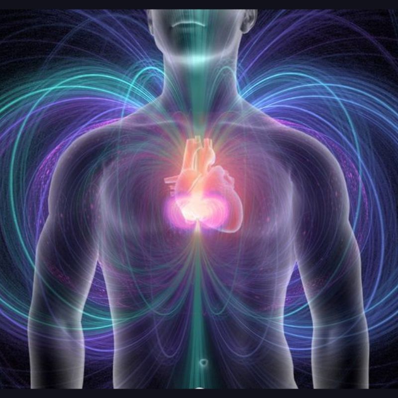 Diseño sin título (3)