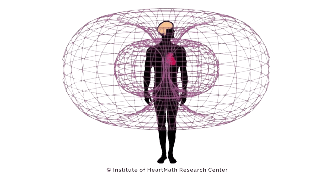 Heart-Toroidal-Field-And-Energetic-Communication-removebg-preview-min
